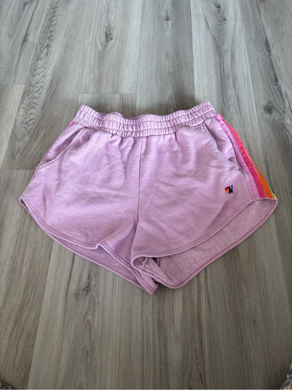 Aviator Nation L Striped Purple Shorts